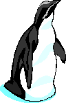 pinguino.gif