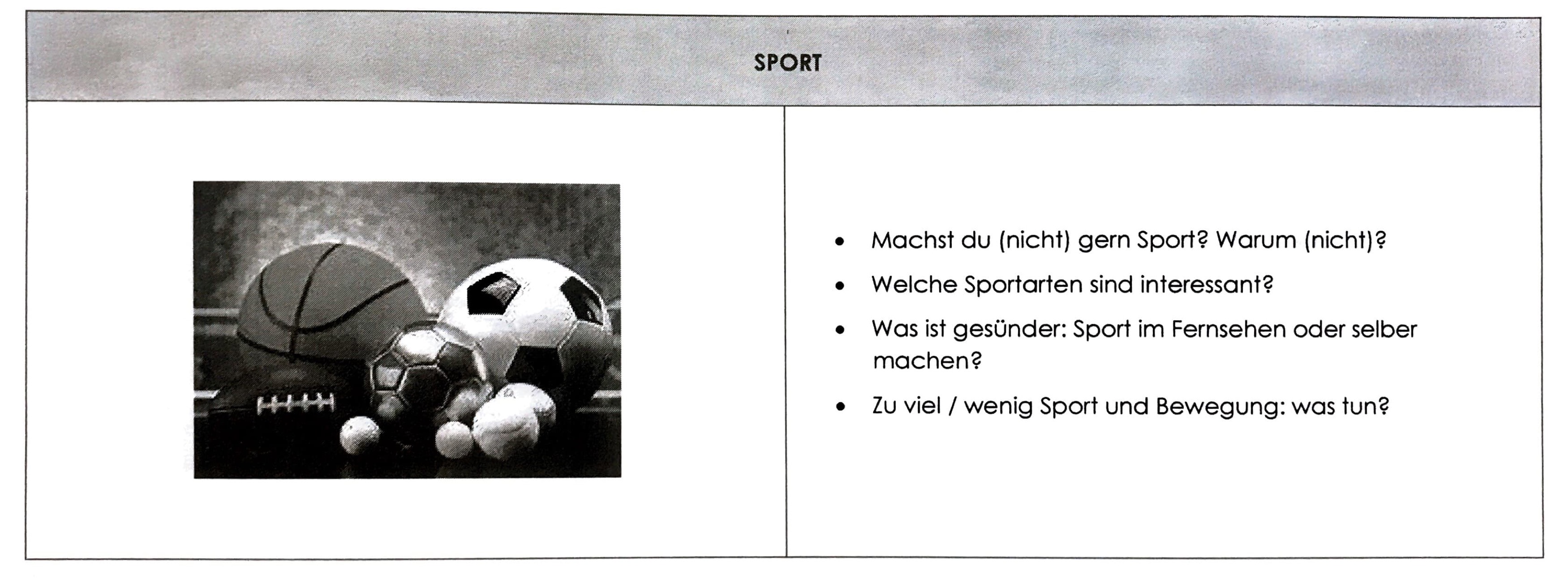 Sport19