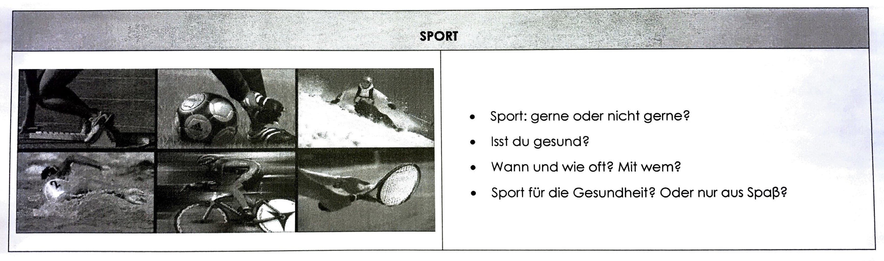 Sport20-2