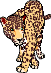 jaguar.gif