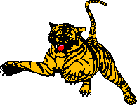 tigre.gif