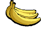 platanos platanos.gif