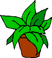 planta.gif