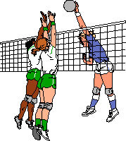 voleibol2.gif